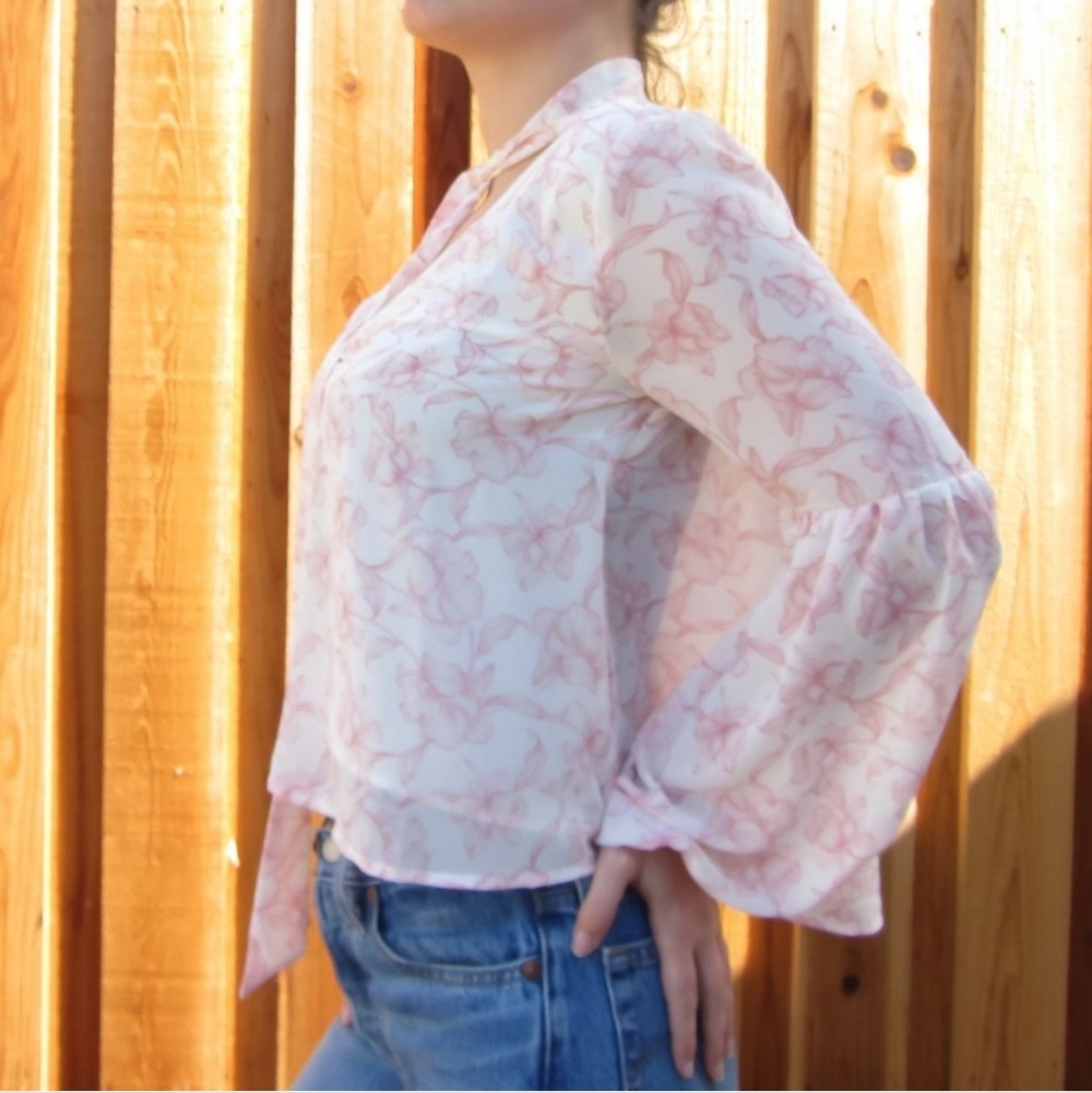 Lush Sheer Pink Floral Blouse Size Sm Nordstrom Euc Femme Balletcore Feminine
